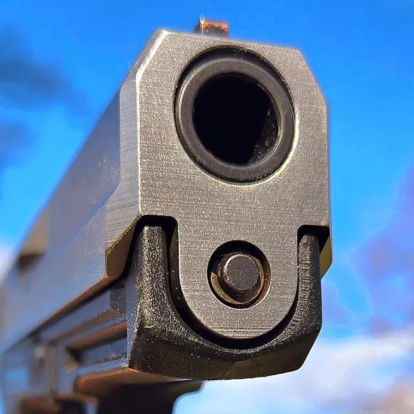 USP 9 STAINLESS New and Used Price, Value, & Trends 2025