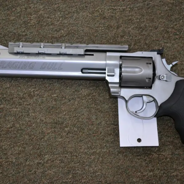 TAURUS RAGING BULL New and Used Price, Value, & Trends 2025
