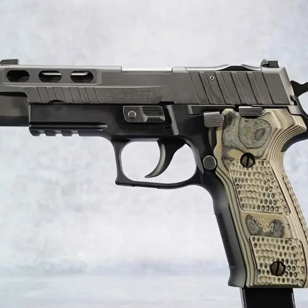 P226 E2 New and Used Price, Value, & Trends 2025