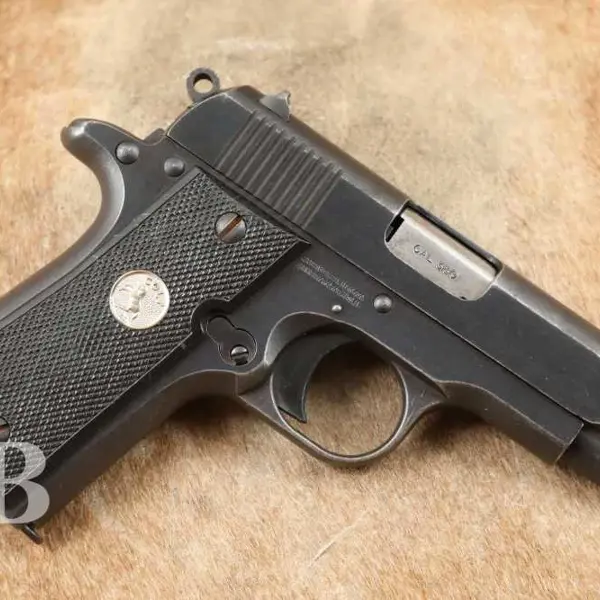COLT GOVERNMENT 380 New and Used Price, Value, & Trends 2025