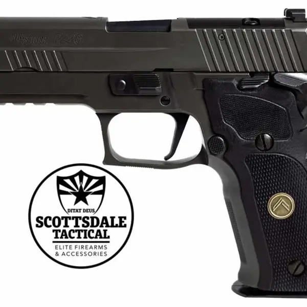 SIG SEUER  Ｐ226 E2  超美品 SIG SAUER P226 E2 Review - Guns Holsters And Gear