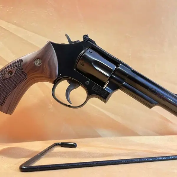 MODEL 19 New and Used Price, Value, & Trends 2025