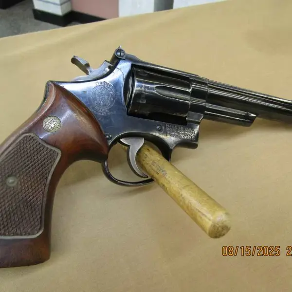 S＆W M19 6inch Tokyo Marui M19 6inch | RedWolf