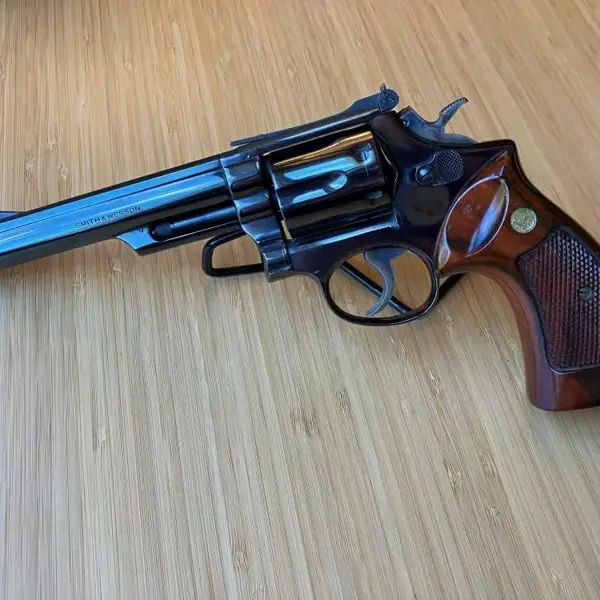 MODEL 19 New and Used Price, Value, & Trends 2025