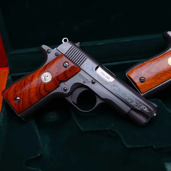 COLT GOVERNMENT 380 New and Used Price, Value, & Trends 2025