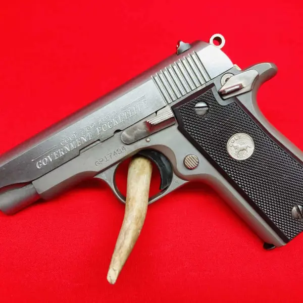 380 GOVERNMENT MODEL SERIES 80 New and Used Price, Value, & Trends