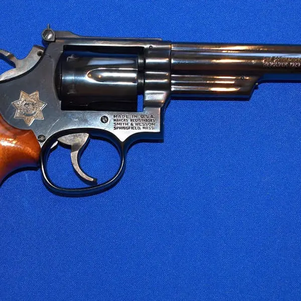 MODEL 19 New and Used Price, Value, & Trends 2025