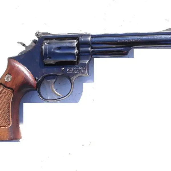 MODEL 19 New and Used Price, Value, & Trends 2025