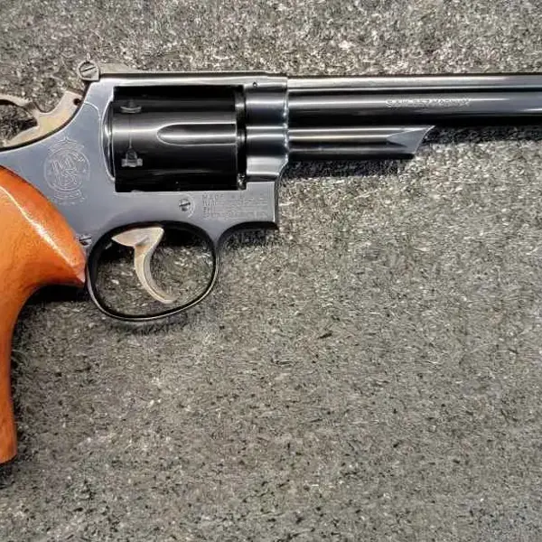 MODEL 19 New and Used Price, Value, & Trends 2025