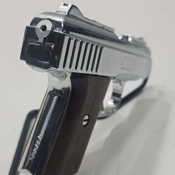 Raven Arms Firearm Magazines for sale