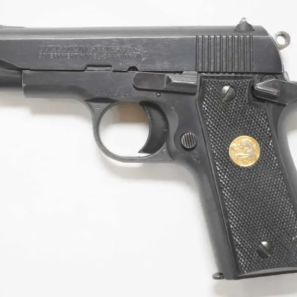 COLT GOVERNMENT MODEL 380 New and Used Price, Value, & Trends 2026