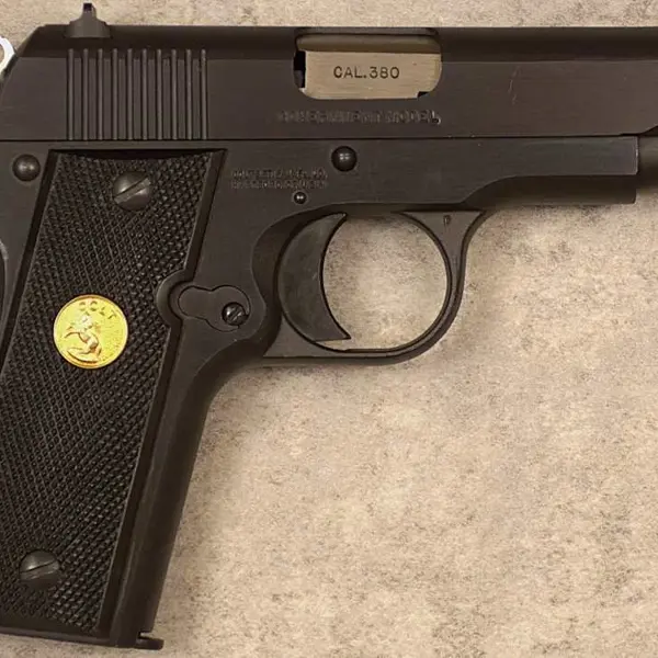 COLT GOVERNMENT 380 New and Used Price, Value, & Trends 2026