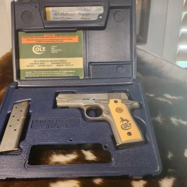 380 GOVERNMENT MODEL SERIES 80 New and Used Price, Value, & Trends