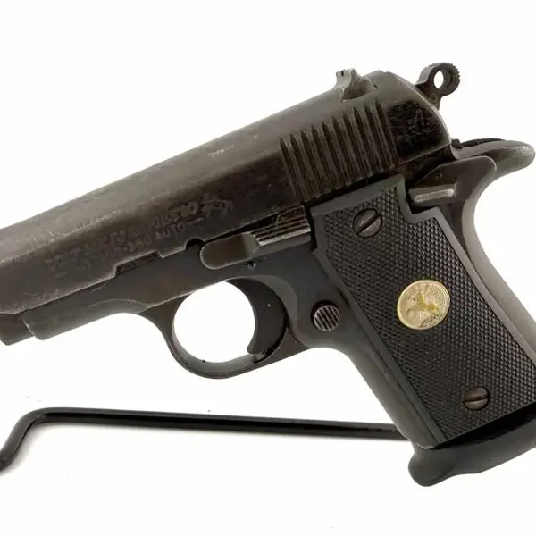 COLT GOVERNMENT 380 New and Used Price, Value, & Trends 2026