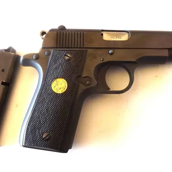 COLT GOVERNMENT MODEL 380 New and Used Price, Value, & Trends 2026