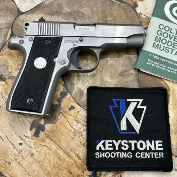 COLT GOVERNMENT MODEL 380 New and Used Price, Value, & Trends 2026