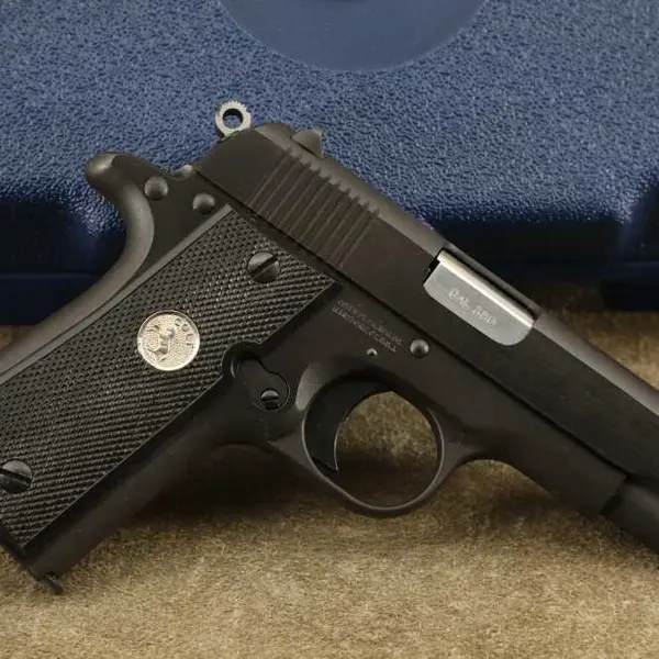 COLT GOVERNMENT MODEL .380 AUTO 366え COLT GOVERNMENT 380 New and Used Price, Value, & Trends 2026