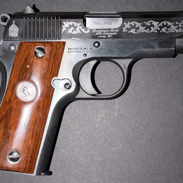 COLT GOVERNMENT 380 New and Used Price, Value, & Trends 2026