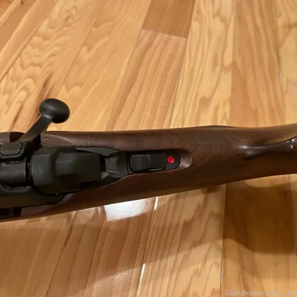 X BOLT MICRO MIDAS New and Used Price, Value, & Trends 2025