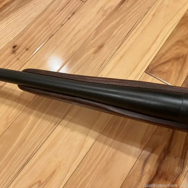X BOLT MICRO MIDAS New and Used Price, Value, & Trends 2025