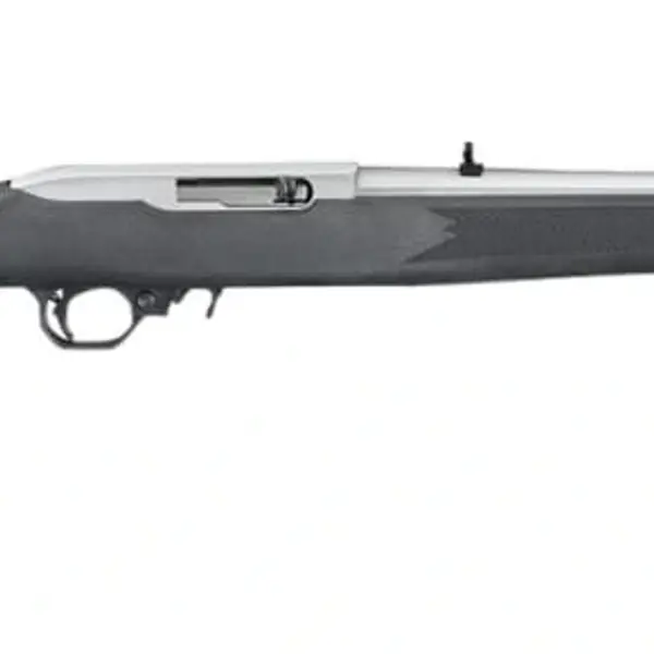 Ruger 10/22