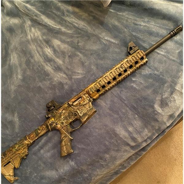 .22 LR M&P15-22 Smith & Wesson MP15-22 AR-15 16 inch " barrel