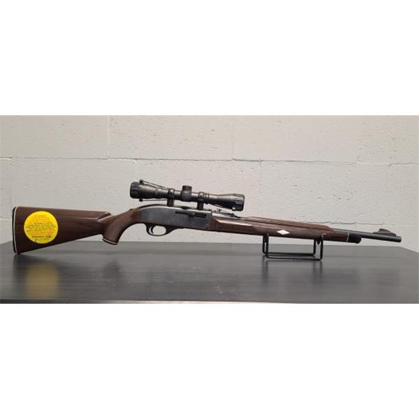 22 LR REMINGTON NYLON 66 004281