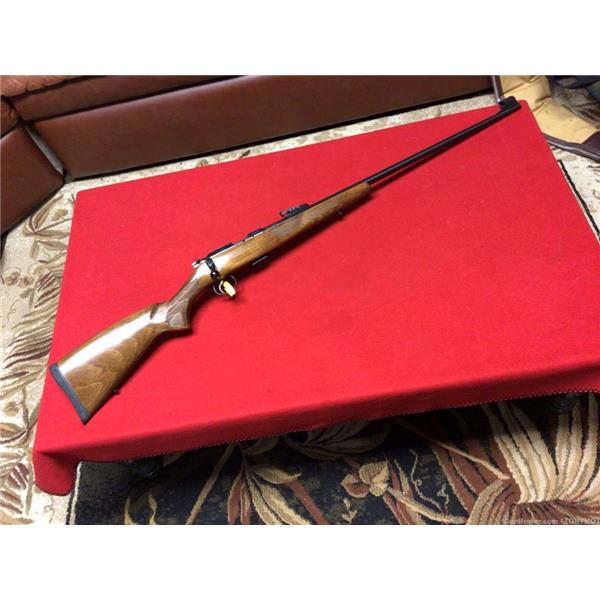 .22 LR CZ-USA CZ model 455 22 lr 28 inch " barrel
