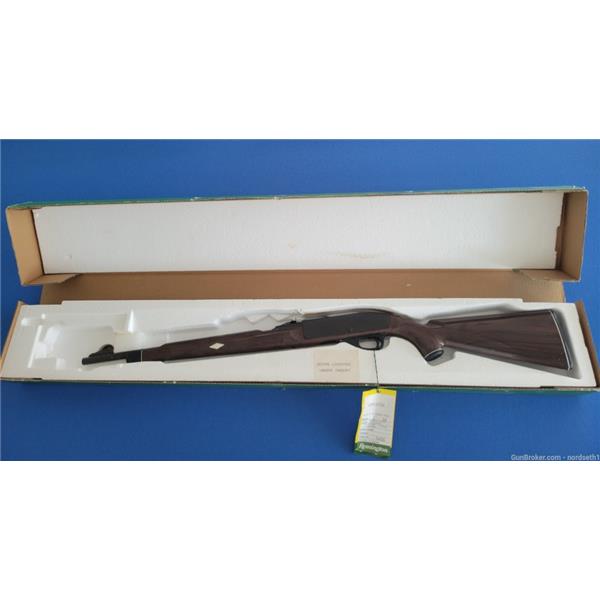 .22 LR Remington Nylon 66 w Scope New in Box .22lr 19 inch " barrel