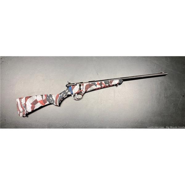 .22 S/L/LR Savage Rascal USA Flag NEW 062654138010 16 inch " barrel