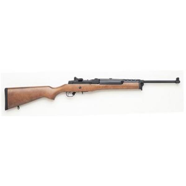 Ruger Mini-14 Ranch SA 223 Remington/5.56 NATO 18.5" 5+1 Hardwood Stk Blue 736676058013