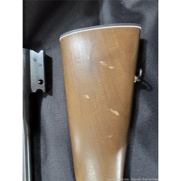 Other Model Rossi single shot, 1x20ga barrel, and 1x17HMR barrel