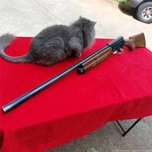 A5 (Auto 5) Browning A-5 Light Twelve; 12 Ga; 28" VR Imp Cyl; Japan; 1979; No Reserve! 262-17 28 inch " barrel