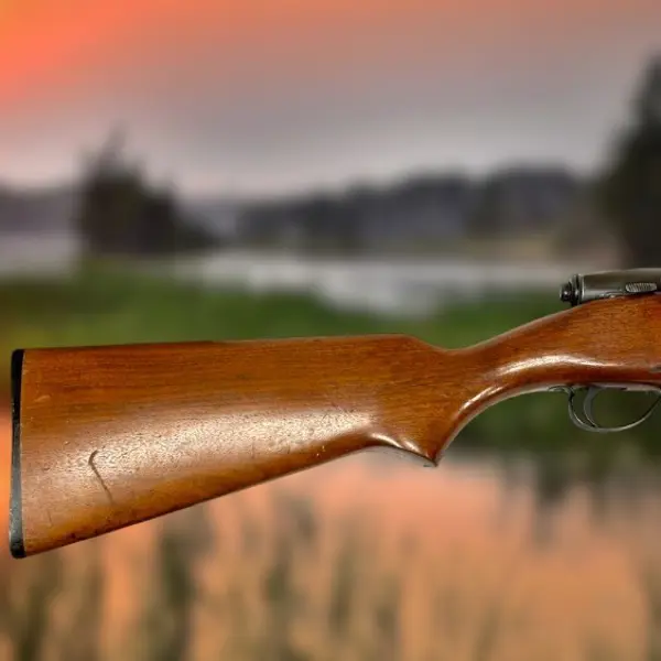 583 1101 New and Used Price, Value, & Trends 2025